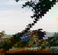 Hilltop Barn at Swan Bay - ACT Tourism