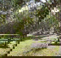 Illaroo group camping area - ACT Tourism