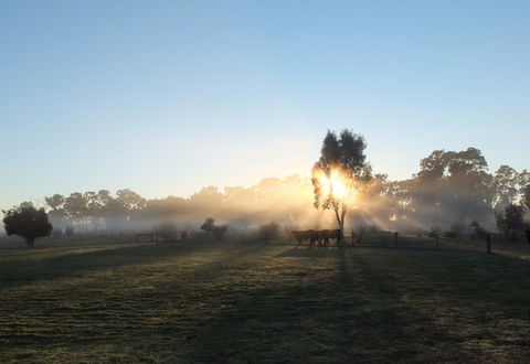 Mackereth's Hedon Farm - ACT Tourism 1