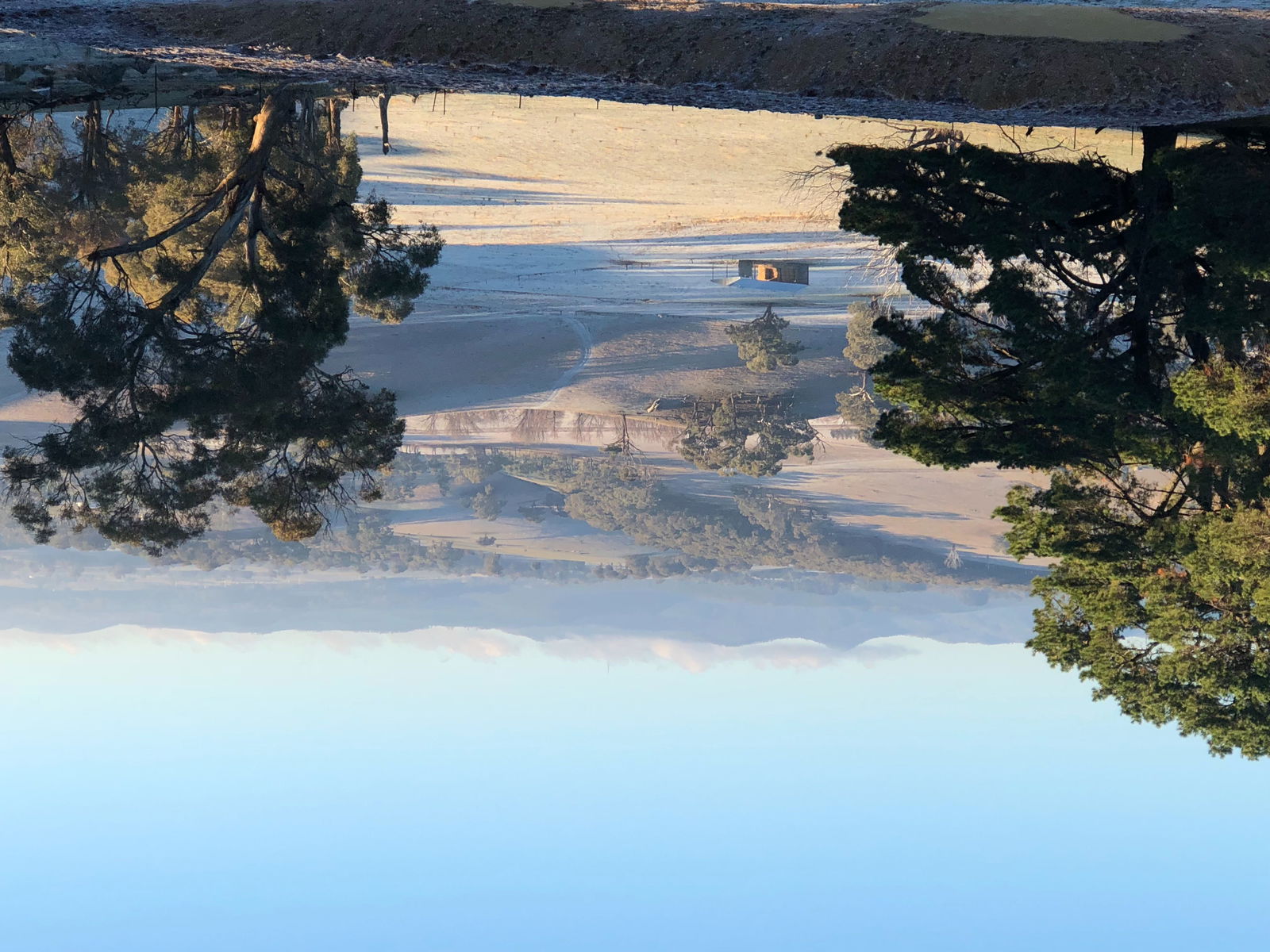 Forest Reefs NSW ACT Tourism