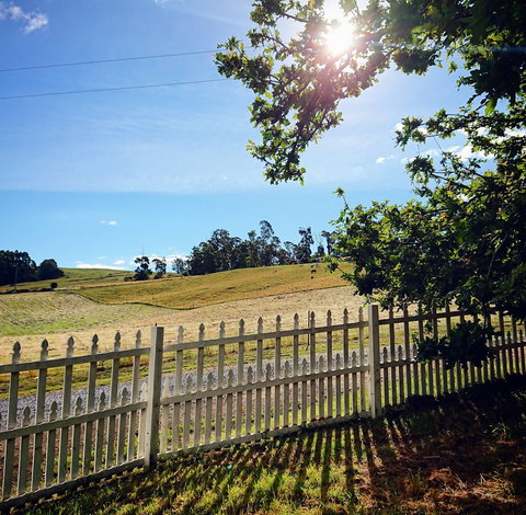 Old White Church Bed And Breakfast - ACT Tourism 3