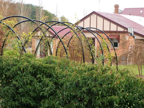 Pierrepoint Wines Bed & Breakfast - ACT Tourism 1