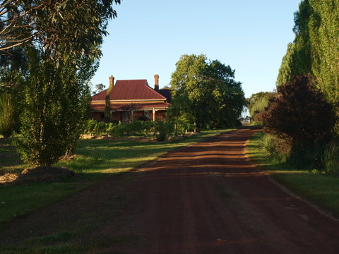 Pierrepoint Wines Bed & Breakfast - ACT Tourism 4