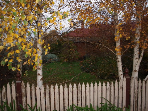 Pierrepoint Wines Bed & Breakfast - ACT Tourism 6