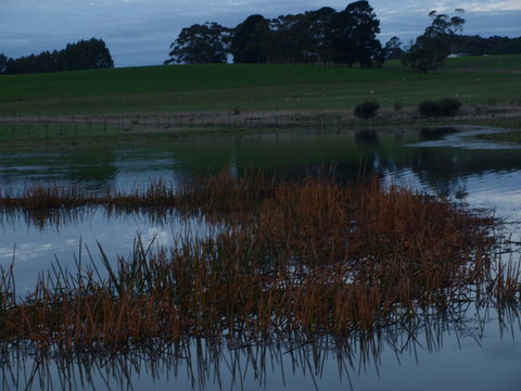 Pierrepoint Wines Bed & Breakfast - ACT Tourism 8