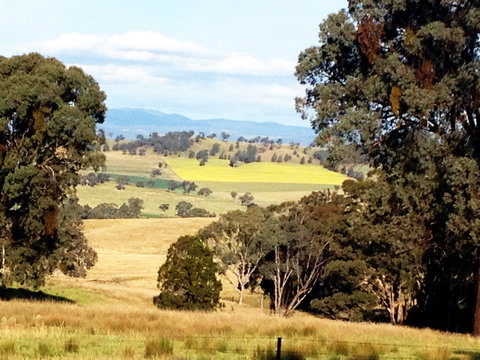 The Rockies At Orange - ACT Tourism 1