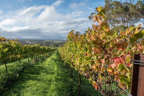 The Sleeping Lady Private Retreat - ACT Tourism 2