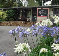 Blackheath Motor Inn - ACT Tourism