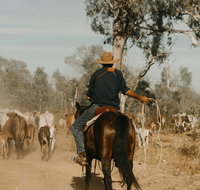 Bullo River Station - ACT Tourism