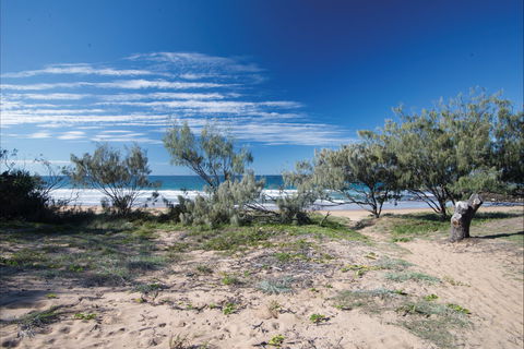 Deepwater National Park Camping - ACT Tourism 0