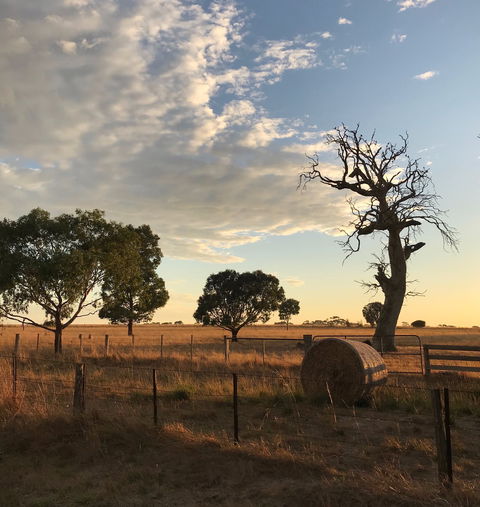 Rocklea Farm - ACT Tourism 0