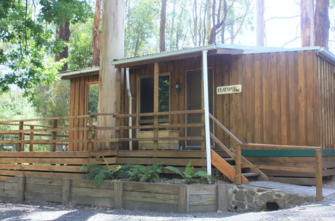 Tarra Valley Caravan Park - ACT Tourism 1