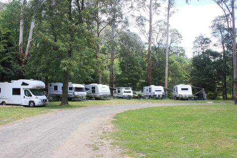 Tarra Valley Caravan Park - ACT Tourism 2
