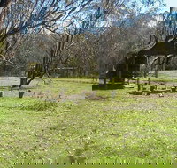 Tin Mines campground - ACT Tourism