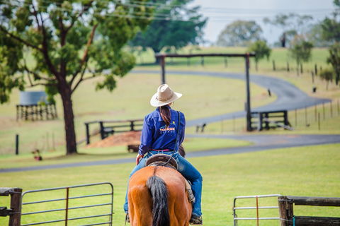 Tobruk Sydney Farm Stay - ACT Tourism 0