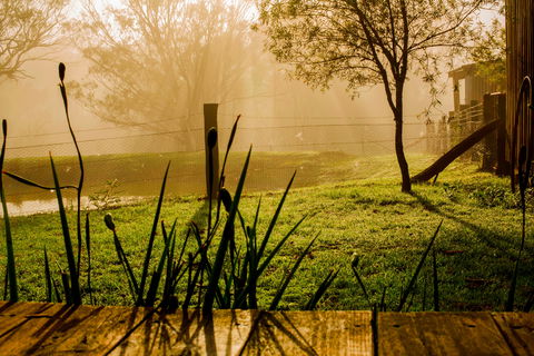 Tobruk Sydney Farm Stay - ACT Tourism 1