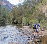 Acacia Flat campground - ACT Tourism