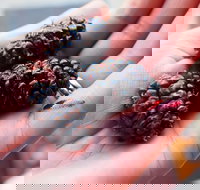 Baileys Lane - ACT Tourism