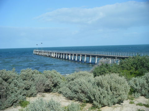 Haslam Campground - ACT Tourism 0