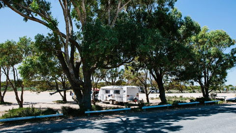 Haslam Campground - ACT Tourism 2