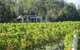 Just Red Wines Vineyard Cabins - thumb 0