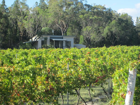 Just Red Wines Vineyard Cabins - ACT Tourism 0