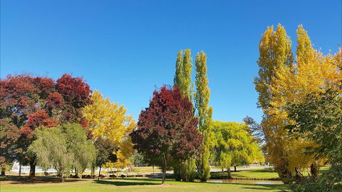 Lockhart Caravan Park - ACT Tourism 1