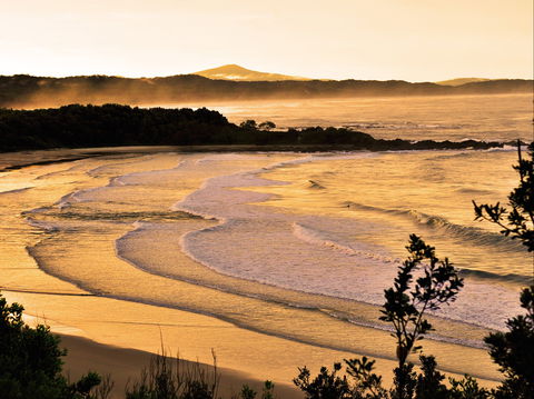 Minnie Water Holiday Park - ACT Tourism 1