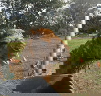 Mudgees Getaway Cottages - ACT Tourism