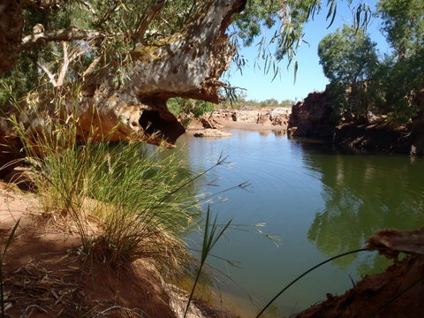 Peedamulla Campground And Cultural Tours - ACT Tourism 1