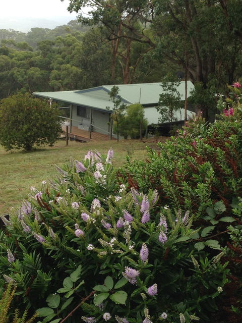 Southern Anchorage Retreat - ACT Tourism 1