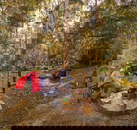 Thungutti campground - ACT Tourism