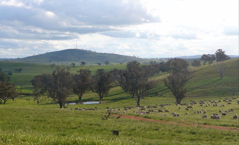 Wantana Cottage Farm Stay - ACT Tourism 0