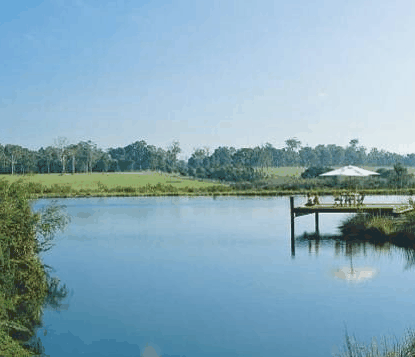 Forest Rise Eco Retreat - ACT Tourism