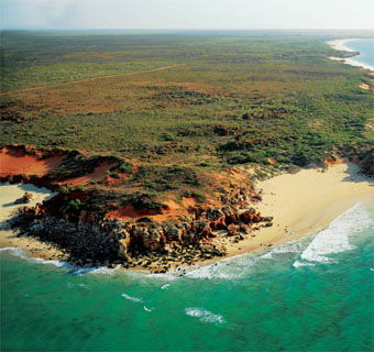 Eco Beach Wilderness Retreat - ACT Tourism 2