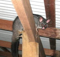 Warren River Resort - ACT Tourism