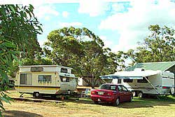 Ravensthorpe Caravan Park - ACT Tourism 2