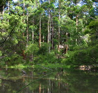 Peppermint Grove Retreat - ACT Tourism