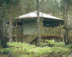 Possums Hideaway - ACT Tourism 0