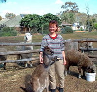 Kemminup Farm - ACT Tourism