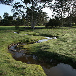 Bolganup Homestead - ACT Tourism 3