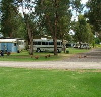 Harvey Rainbow Caravan Park - ACT Tourism