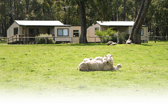 Cambray Cottages - ACT Tourism 1