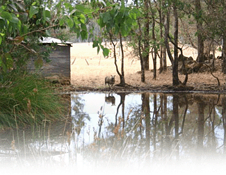 Cambray Cottages - ACT Tourism 3