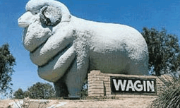 Wagin Motel - ACT Tourism 0