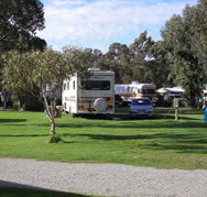 Pinjarra Caravan Park - ACT Tourism
