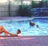 Shark Bay Caravan Park - ACT Tourism