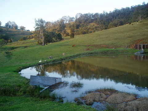 Barkeldine Farm Country Retreat - ACT Tourism 0