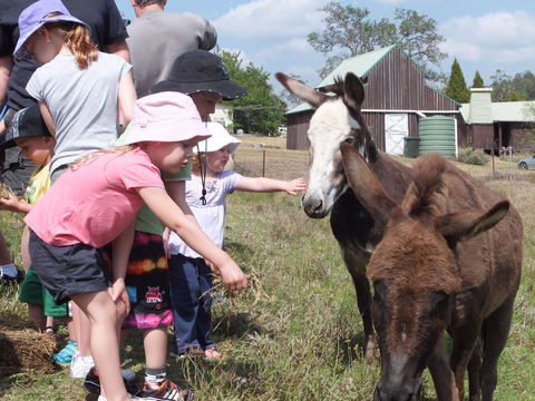 Barkeldine Farm Country Retreat - ACT Tourism 2