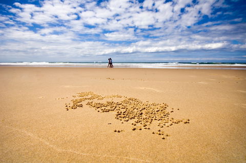 BIG4 Nambucca Beach Holiday Park - ACT Tourism 1